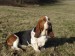 DSC01717.JPG
